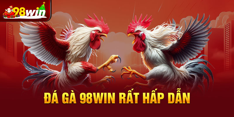 Đá gà 98win rất hấp dẫn