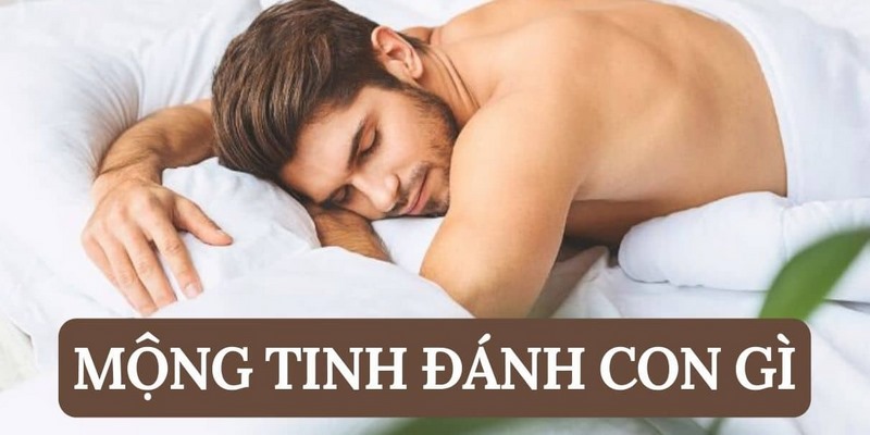 Con số chuẩn xác khi nằm mơ mộng tinh